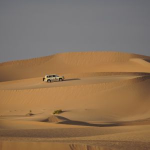 Evening Desert Safari