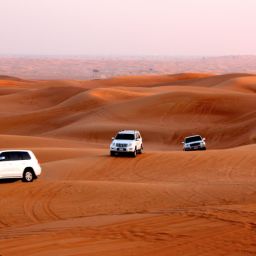 Liwa Safari Abu Dhabi