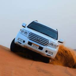 Abu dhabi desert safari